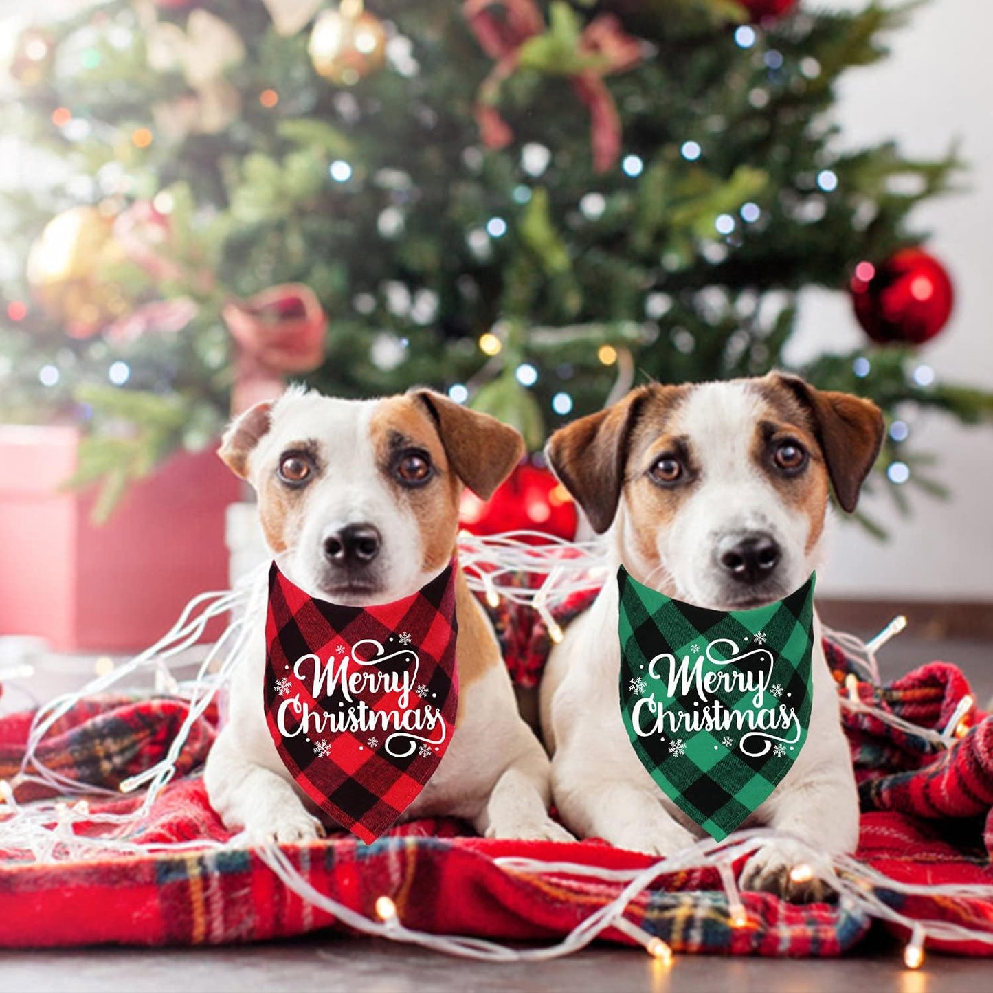 2 Pack Christmas Plaid Dog Bandanas, Merry Christmas Snowflake Holiday Plaid Dog Bandanas for Small Medium Dog Christmas Costume Decorations (Red & Green, White Merry Christmas)